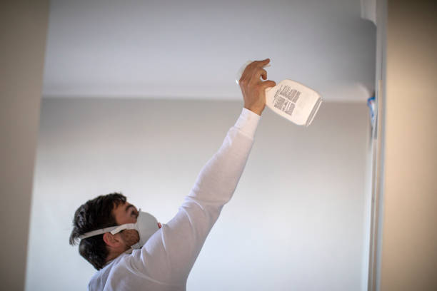 Best Best Mold Removal Companies  in White Hall, AR